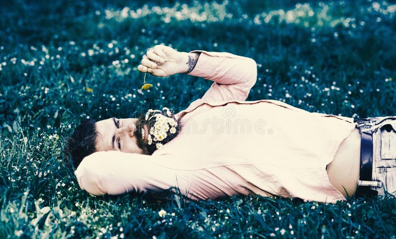 Allergy and antihistamine concept. Bearded man with daisy flowers in beard lay on grassplot, grass background. Man with