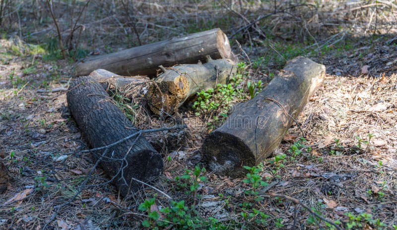 Alles in de wereld heeft een eind, en om het even welk stuk van hout wordt of een brandhout of rot royalty-vrije stock fotografie Alles in de wereld heeft een eind, en om het even welk stuk van hout wordt of een brandhout of rot royalty-vrije stock fotografie