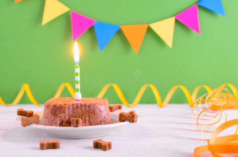 Alles- Gute zum Geburtstagkuchen für Hund vom Nassfutter und von den Festlichkeiten mit Kerze auf Hintergrund der Grünen Partei stockfotografie Alles- Gute zum Geburtstagkuchen für Hund vom Nassfutter und von den Festlichkeiten mit Kerze auf Hintergrund der Grünen Partei stockfotografie