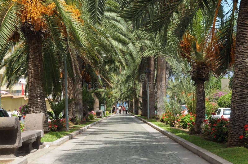 Alley in Puerto de La Cruz, Tenerife Spain stock photos Alley in Puerto de La Cruz, Tenerife Spain stock photos