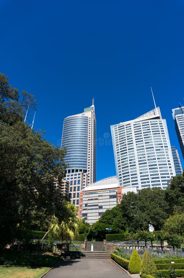 Alley in Sydney Royal Botanic Garden with cityscape stock images Alley in Sydney Royal Botanic Garden with cityscape stock images