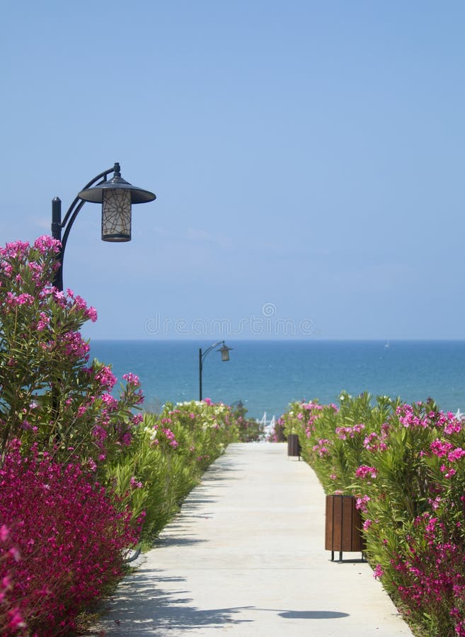 Walking path to the sea beach, decorated with lampposts and flowering shrubs, under blue sky at sunny day. Pillar column garden stock images, royalty-free photos and pictures
