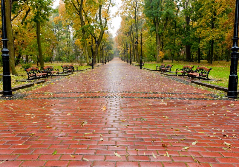 Alleyway with paved road to autumn park