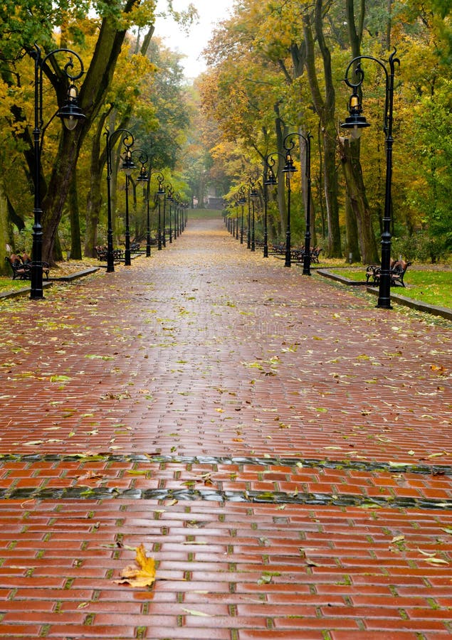 Alleyway with paved road to autumn park