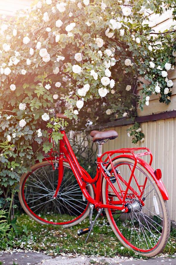 allez à vélo le rouge photographie stock allez à vélo le rouge photographie stock
