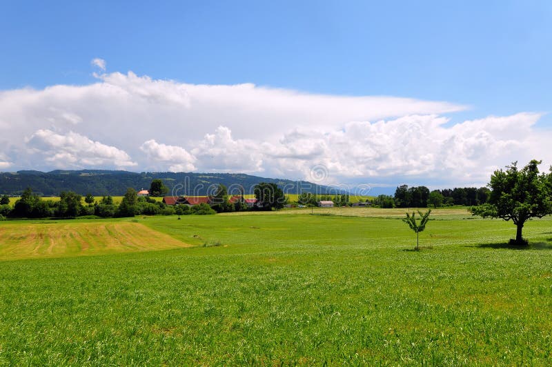 Allgaeu view