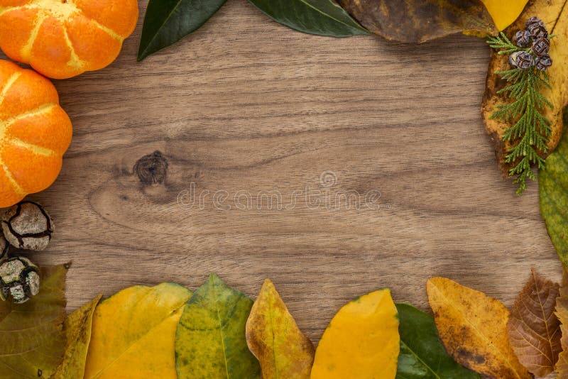 Allhelgonaaftonbakgrund med sidor och pumpor royaltyfria bilder Allhelgonaaftonbakgrund med sidor och pumpor royaltyfria bilder