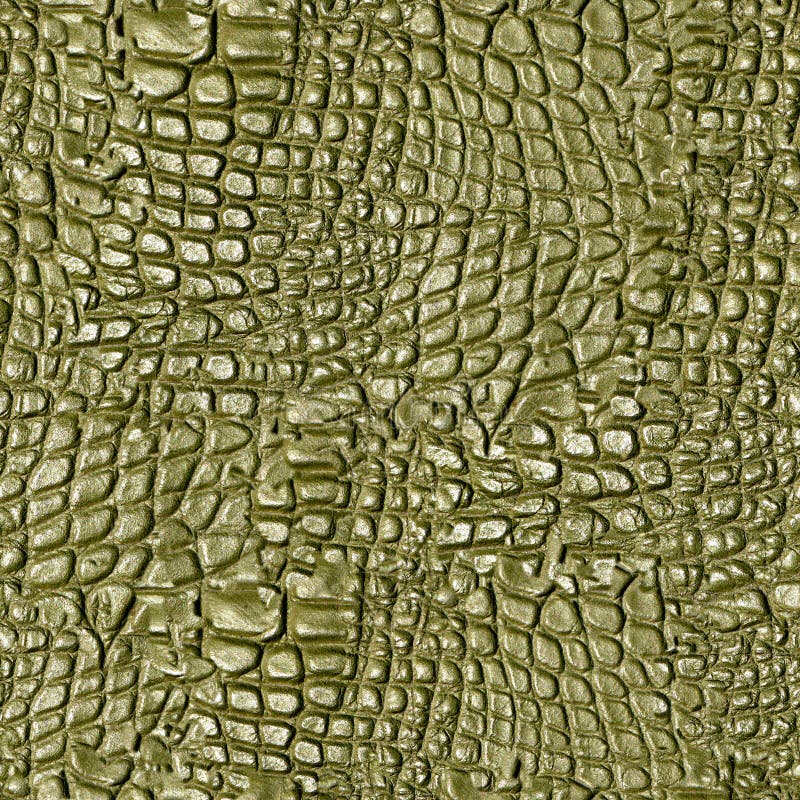 Alligator Hide stock image. Image of belt, skin, photographic 20114057