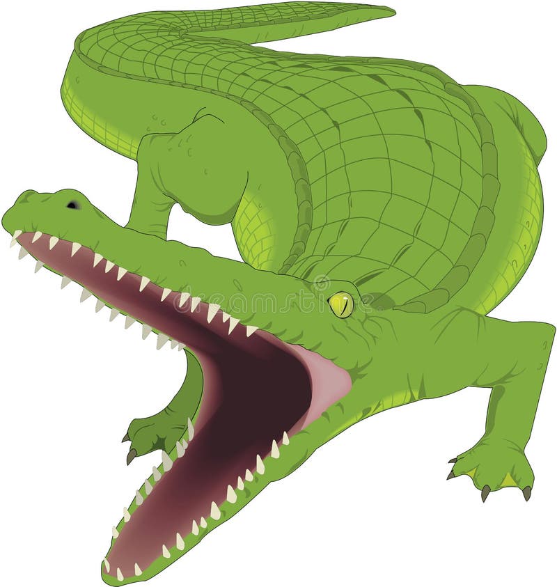 Alligator Vector Illustration.
