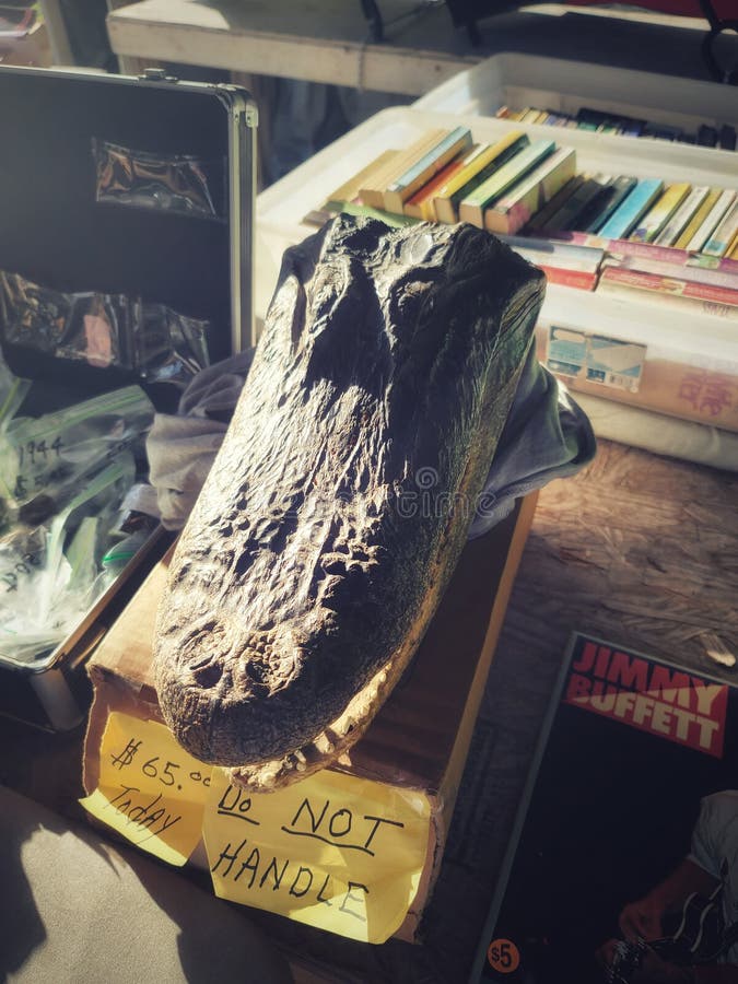 Jeffreymetcalf31 - Photographer profile