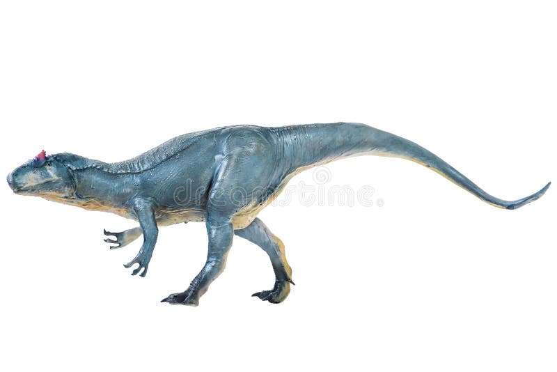 Allosaurus dinosaur isolated background . Allosaurus dinosaur isolated background .