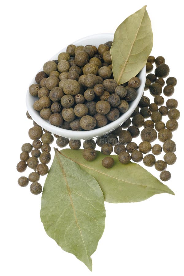 Allspice and bay leaves stock image. Image of plant, herbal 33427579