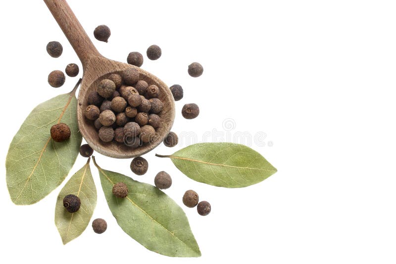 Allspice and bay leaves stock image. Image of plant, herbal 33427579