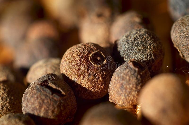 Allspice close-up