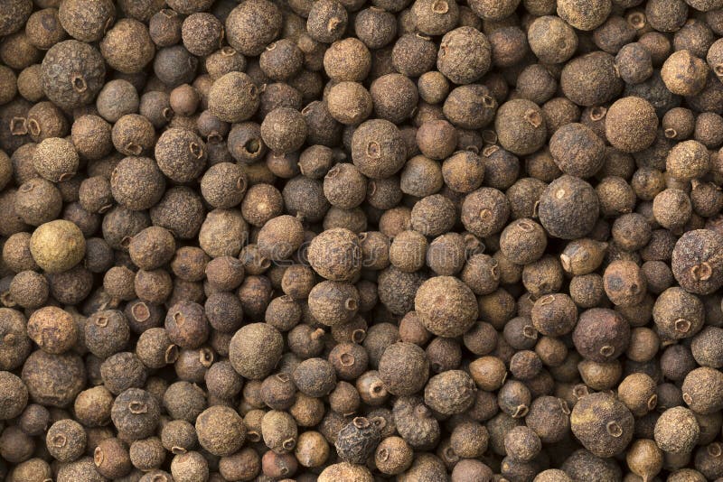 Allspice, dried unripe fruit, full frame stock photography Allspice, dried unripe fruit, full frame stock photography