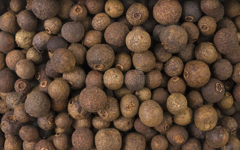 Allspice or Jamaican pepper background. Natural seasoning texture. Natural spices and food ingredients royalty free stock photo Allspice or Jamaican pepper background. Natural seasoning texture. Natural spices and food ingredients royalty free stock photo