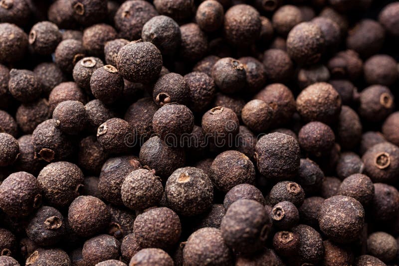 Allspice pepper closeup stock photo. Image of cuisine 59101826