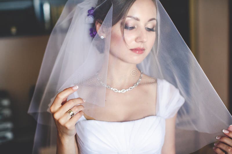 Alluring Bride Looks through the Veil Stock Photo Image of beautiful