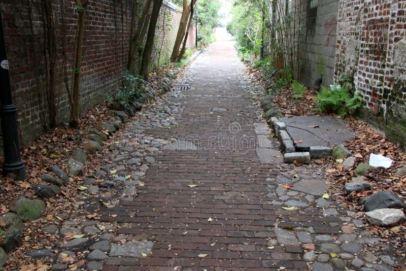 Allée à Charleston, Sc image stock Allée à Charleston, Sc image stock