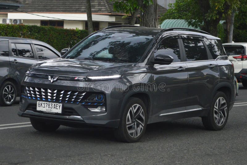 Almaz-Hybrid 2024 lizenzfreie stockbilder