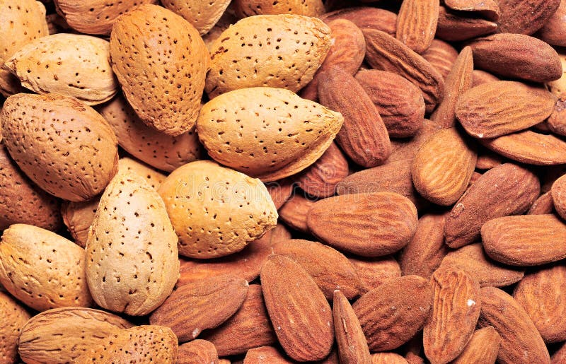 Almond