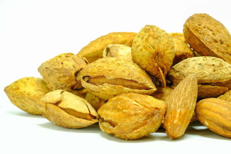 Almond with bark stock photo. Image of eating, almonds 40345510