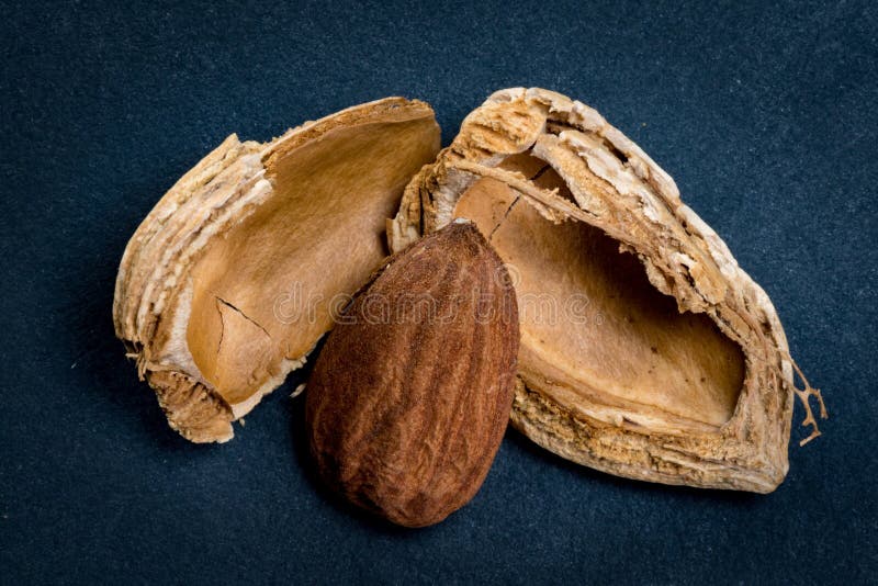 Broken almond shell stock image. Image of nutrition, broken 17648961