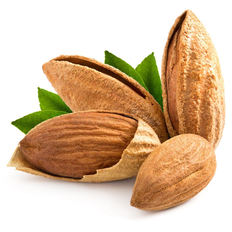 Almond stock photo. Image of macro, almonds, healthy - 49819954