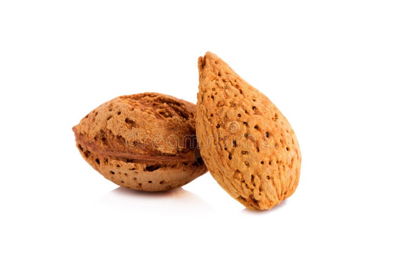 Almond Nut in Shell and Shelled Isolated on White Background Stock