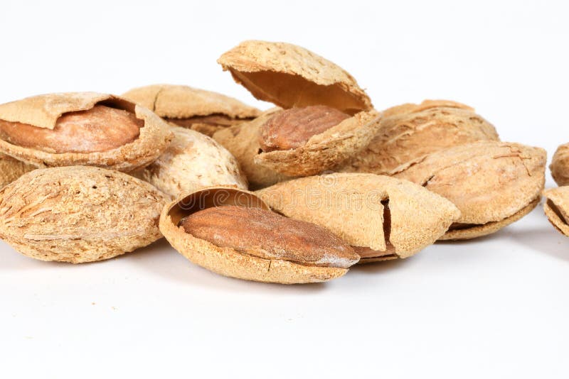 Almond nut in shell stock photo. Image of seed, detail 112979678