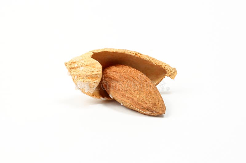 Almond nut in shell stock image. Image of fresh, group 77114385