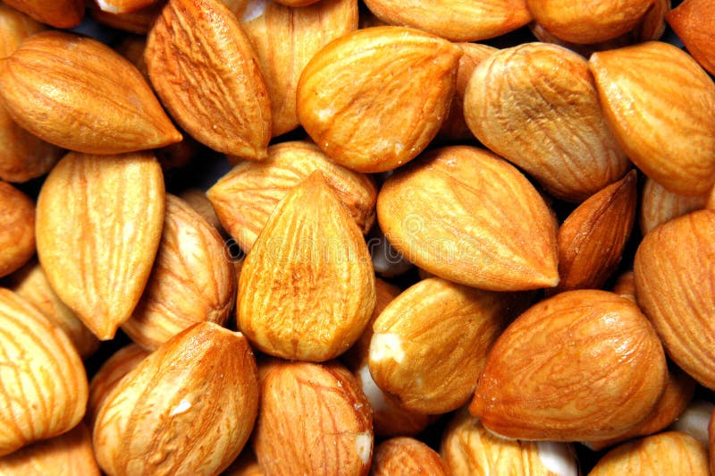 Almond Nuts stock image