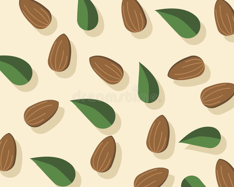 Almond nuts Seamless pattern texture vector illustration.