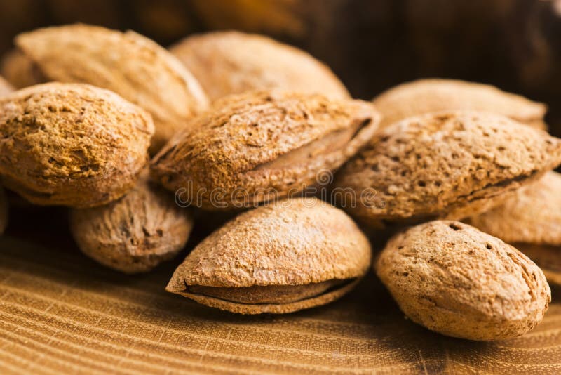 Almond nuts in shell stock photo. Image of brown, hard 84148082