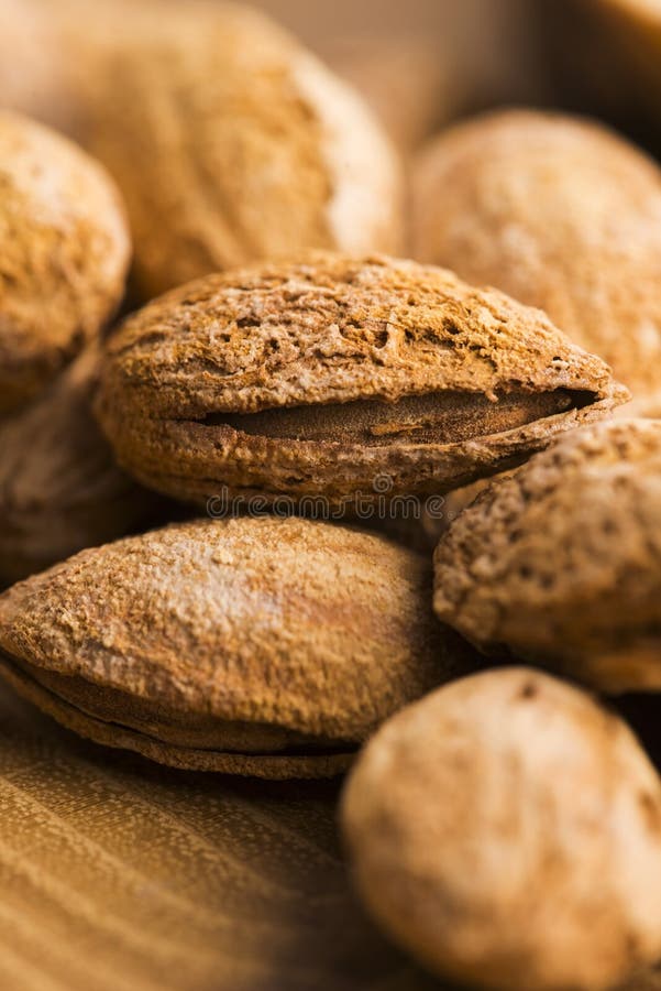 Almond nuts in shell stock image. Image of closeup, crush 84148089