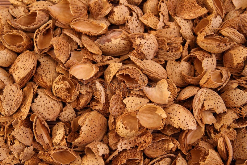 Almond shells background