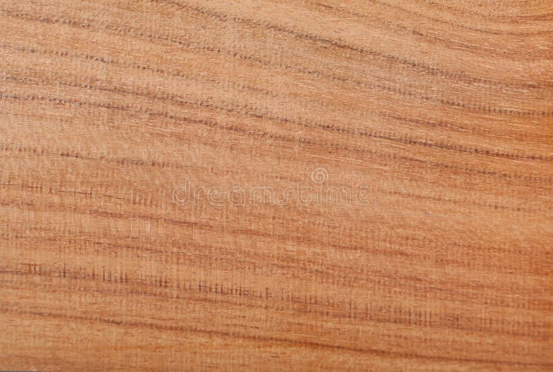 Almond Wood Texture Royalty Free Stock Images Image 20409699