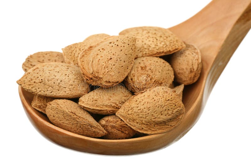 Almonds stock photo