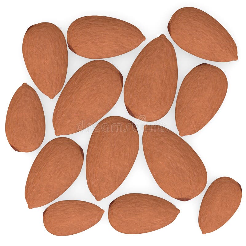 Almonds Stock Illustrations 4,634 Almonds Stock Illustrations