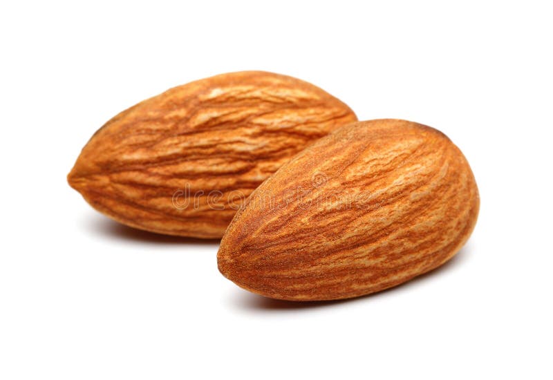 Two Almonds stock photo. Image of cracked, lifestyle 28143416