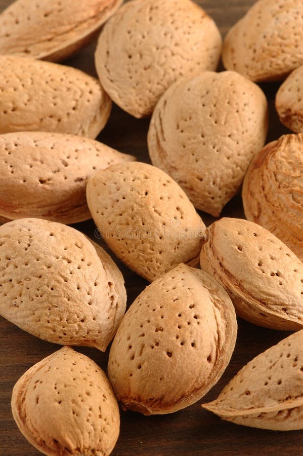 Almonds royalty free stock photo