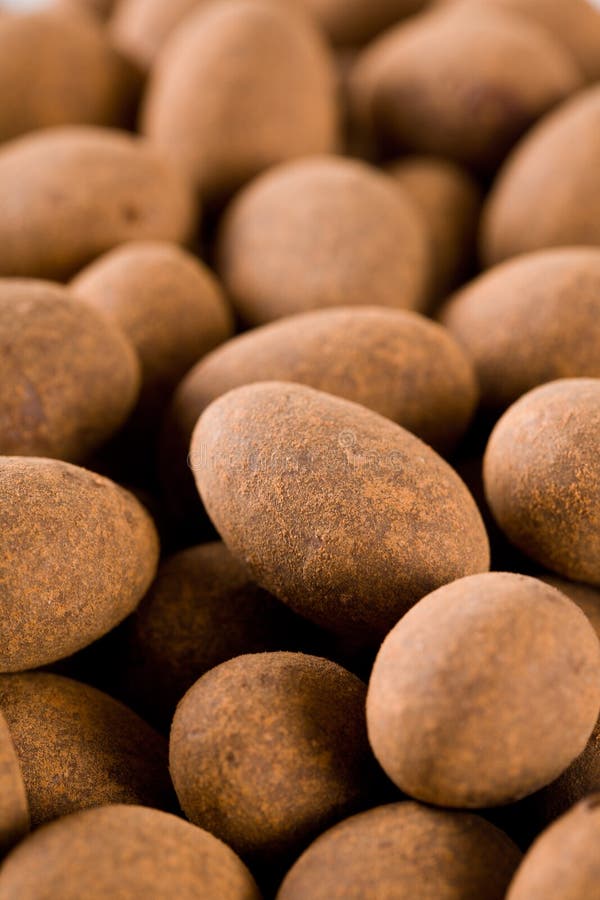 Almonds in Chocolate with Cinnamon Stock Photo Image of food, gourmet
