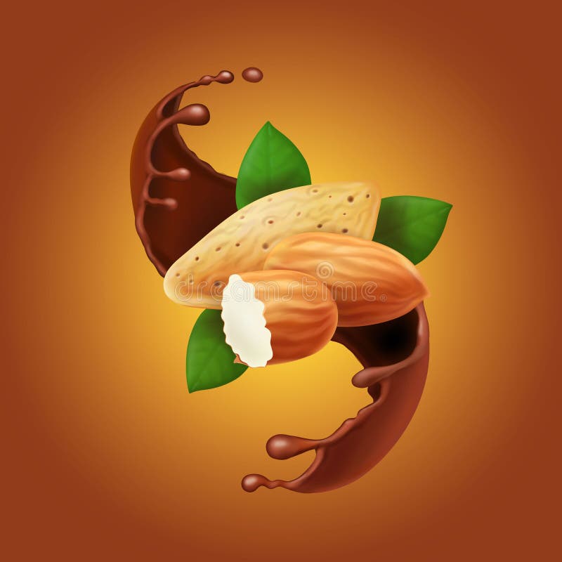 Almonds in chocolate splash. Cocoa flow and nuts realistic Vector illustration stock illustration Almonds in chocolate splash. Cocoa flow and nuts realistic Vector illustration stock illustration