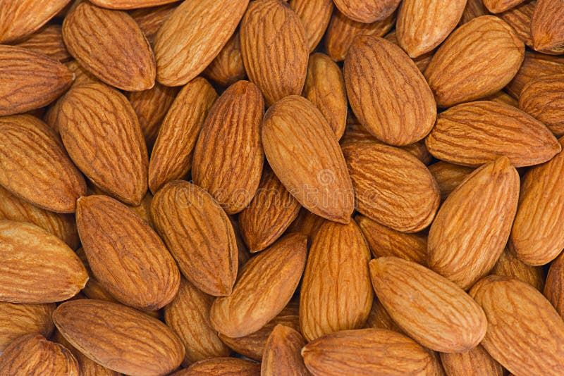 Almonds stock image. Image of close, isolated, white 60548867