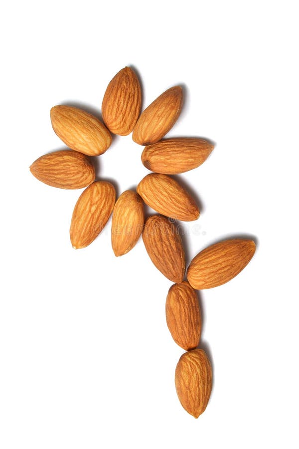 134,841 Almond Fruit Stock Photos Free & RoyaltyFree Stock Photos