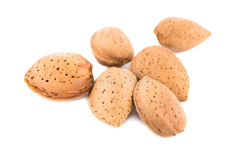 Almonds stock image. Image of nutshell, background, grow 274285685