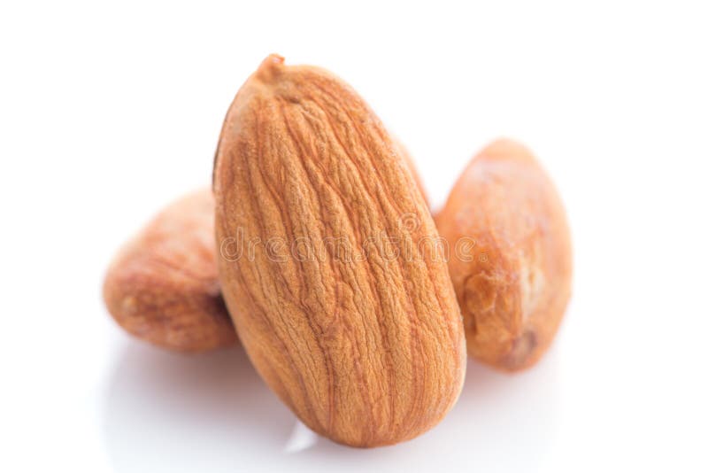 Almonds Nut with Shell Isolated on White Stock Image Image of almond
