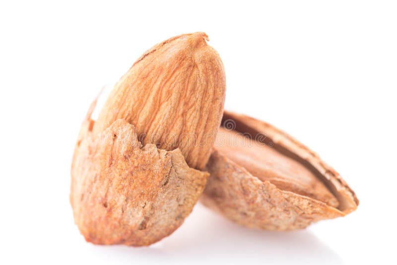 Almonds Nut with Shell Isolated on White Stock Photo Image of shell