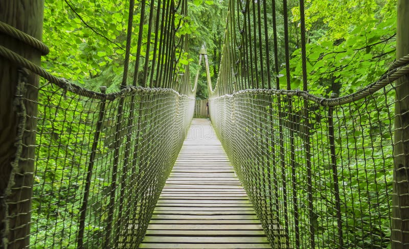 Alnwick wooden Treehouse, wooden and rope bridge, Alnwick Garden, in the English county of Northumberland