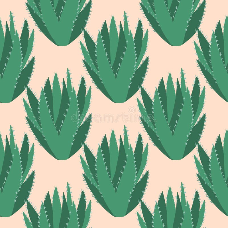 Aloe Vera Cactus Seamless Pattern. Cacti Exotic Wallpaper Stock  Illustration - Illustration of decorative, desert: 163299048